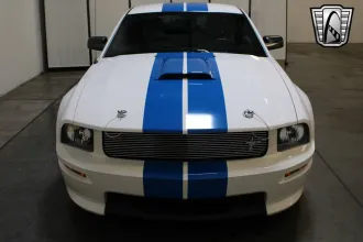 Mustang 11