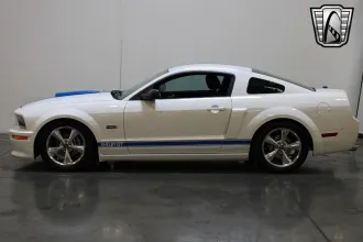 Mustang 13
