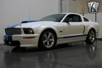 Mustang 16