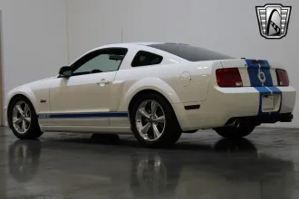 Mustang 17
