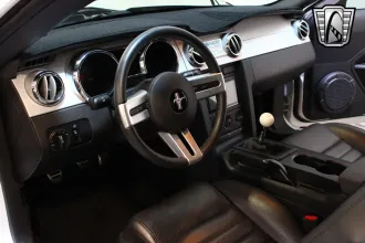 Mustang 23