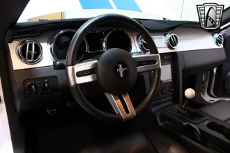 Mustang 25