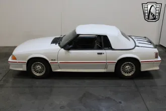 Mustang 8