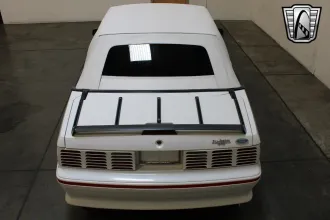 Mustang 9