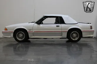 Mustang 12