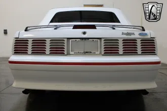 Mustang 14