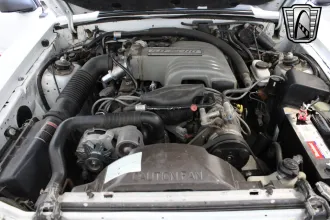 Mustang 15
