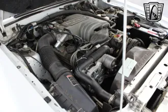 Mustang 16