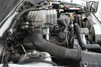 Mustang 17