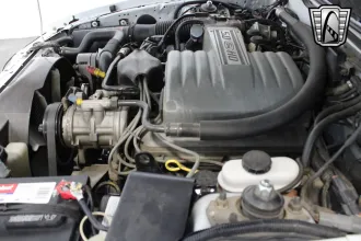 Mustang 20