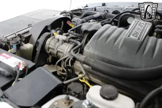 Mustang 21