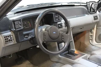 Mustang 23