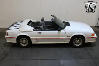 Mustang 26