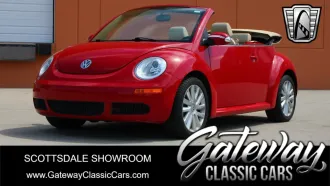 Beetle 1