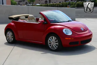Beetle 6