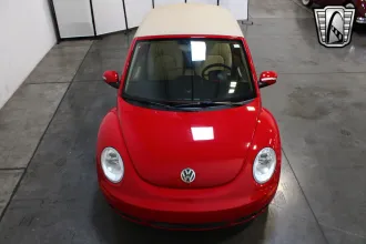 Beetle 7