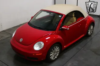 Beetle 8