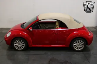 Beetle 9
