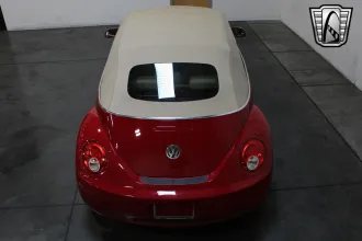 Beetle 11
