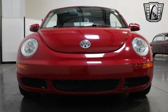 Beetle 12
