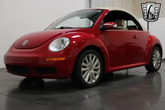 Beetle 13
