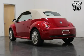 Beetle 14