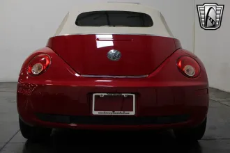 Beetle 15