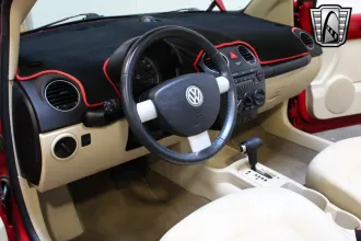 Beetle 21