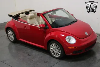 Beetle 25
