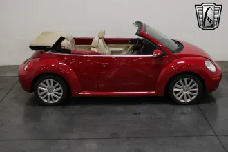 Beetle 26