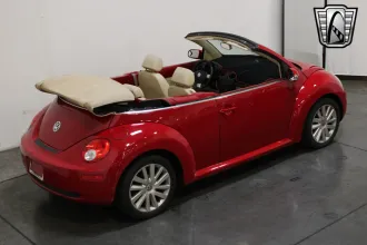 Beetle 27