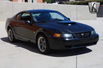 Mustang 5