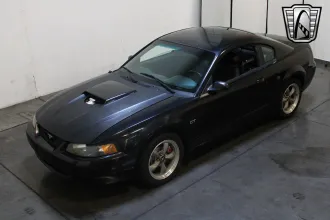 Mustang 8