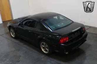 Mustang 10
