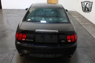 Mustang 11