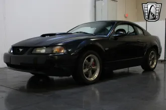 Mustang 13