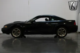 Mustang 14