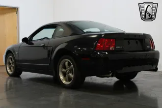 Mustang 15