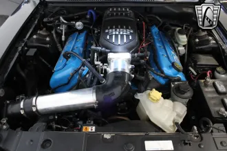 Mustang 17