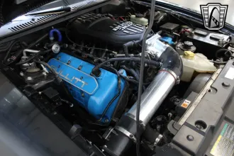 Mustang 18