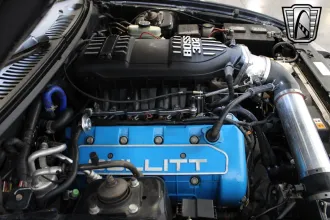 Mustang 19