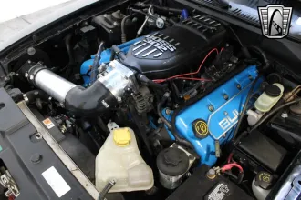 Mustang 21
