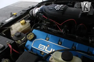 Mustang 23