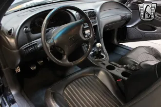Mustang 24