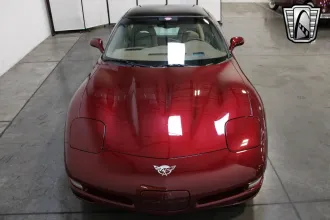 Corvette 7