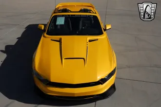 Mustang 7