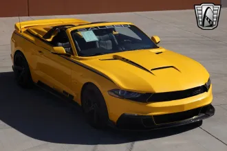 Mustang 14