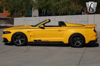 Mustang 17