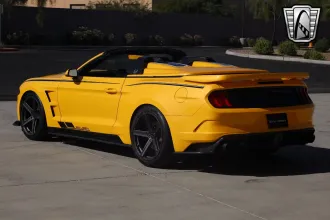 Mustang 18