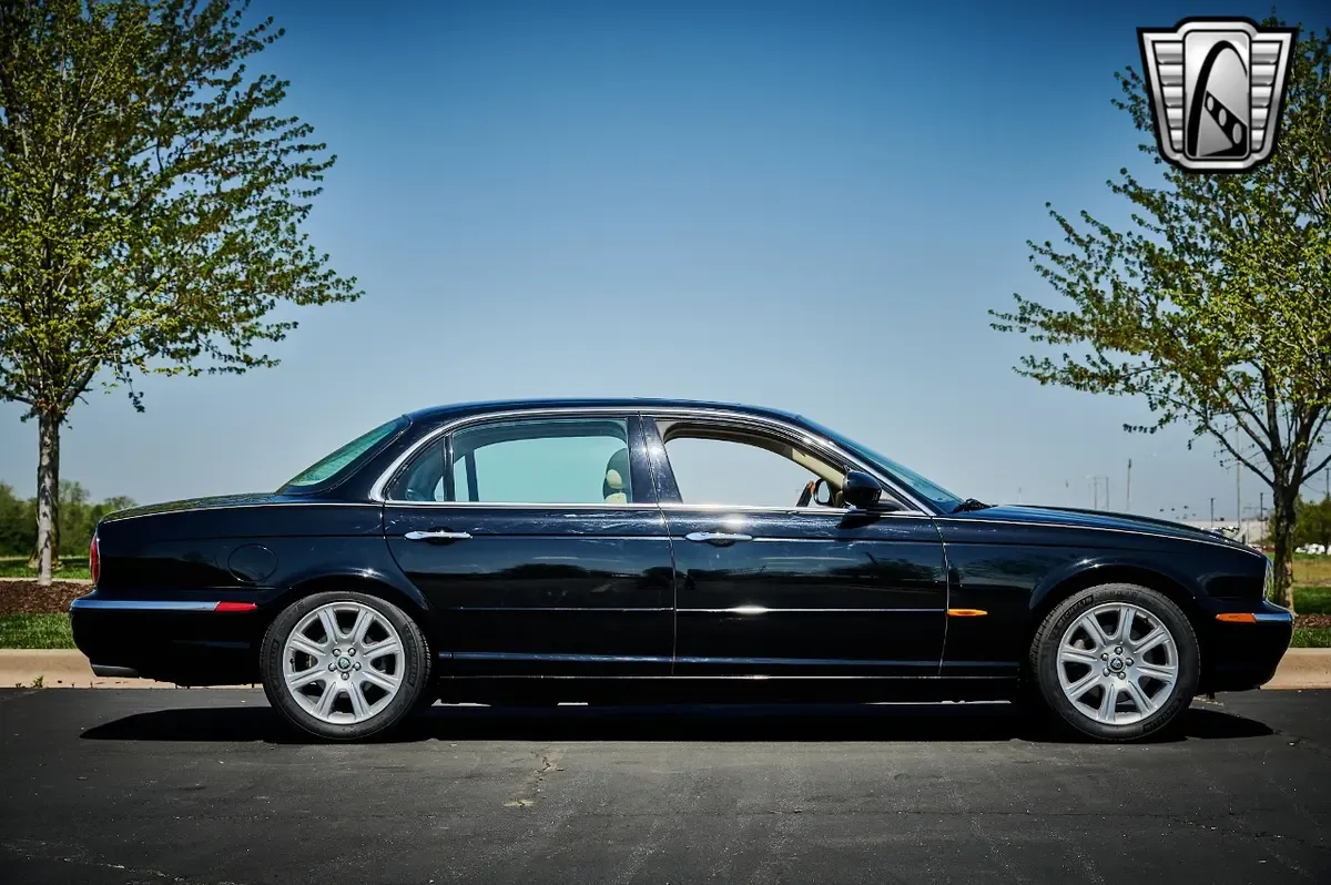 Carousel Image 7